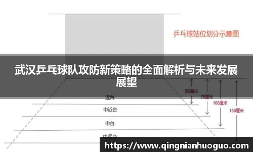武汉乒乓球队攻防新策略的全面解析与未来发展展望